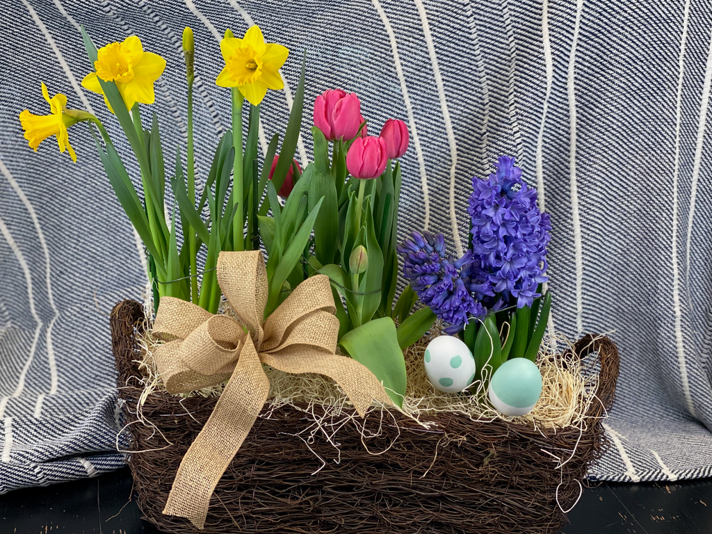 Spring Bulb Plant Basket