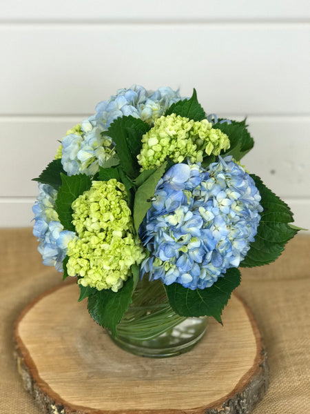 Blue, white and green hydrangea in a compact vase